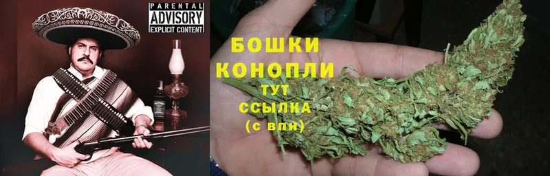 Бошки Шишки SATIVA & INDICA  Галич 